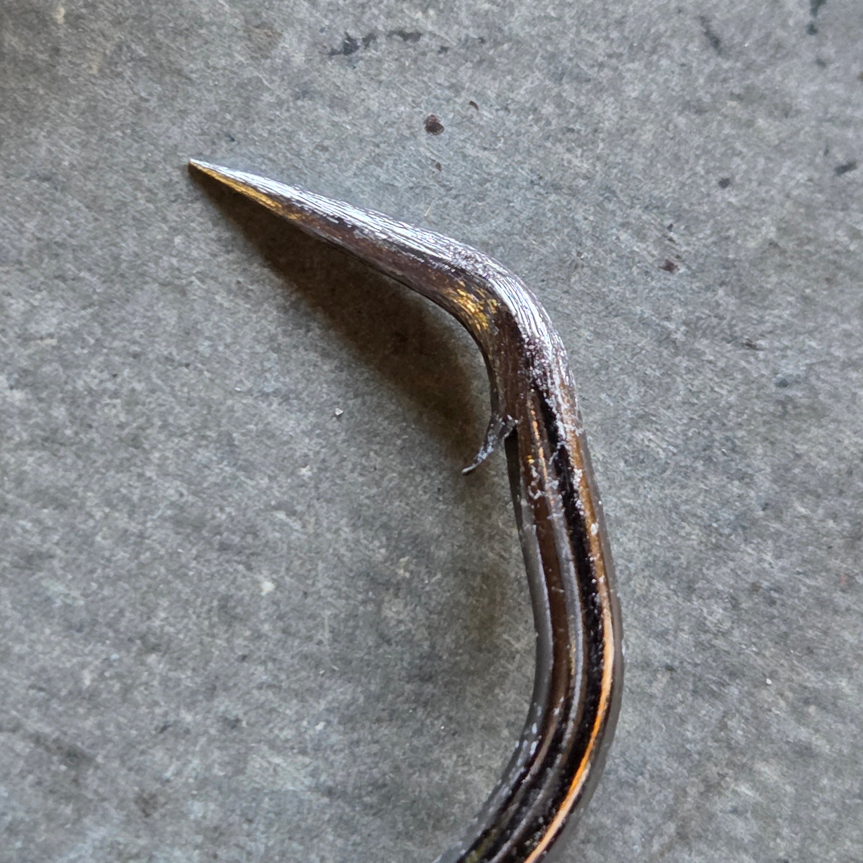 11/10 4x Offset Circle Hook (Pack of 4)